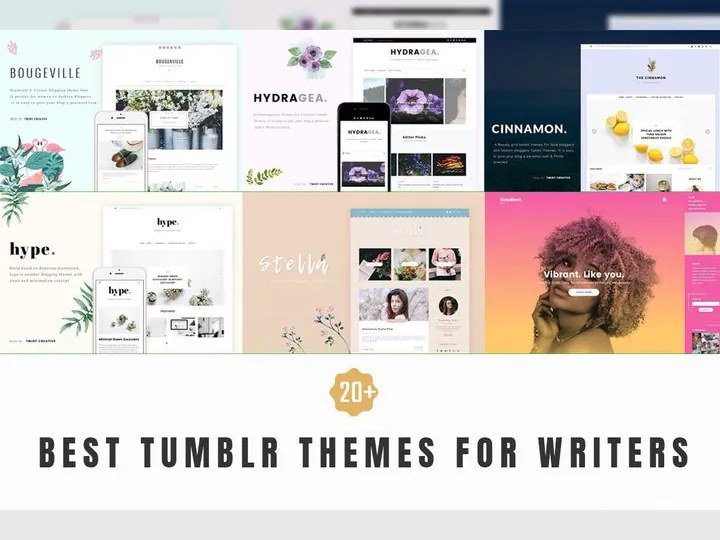 20+ Best Tumblr Themes For Writers