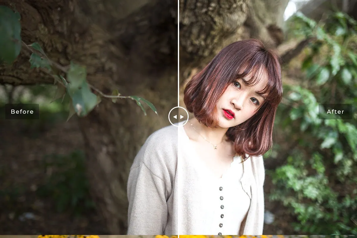Outdoor Lightroom Presets Preview 1