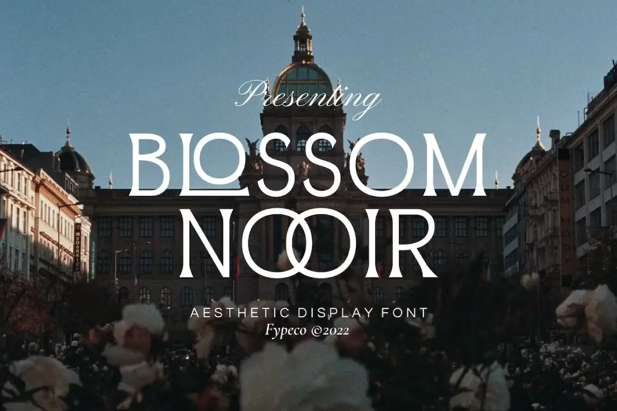 Blossom Noir -Aesthetic Display Font