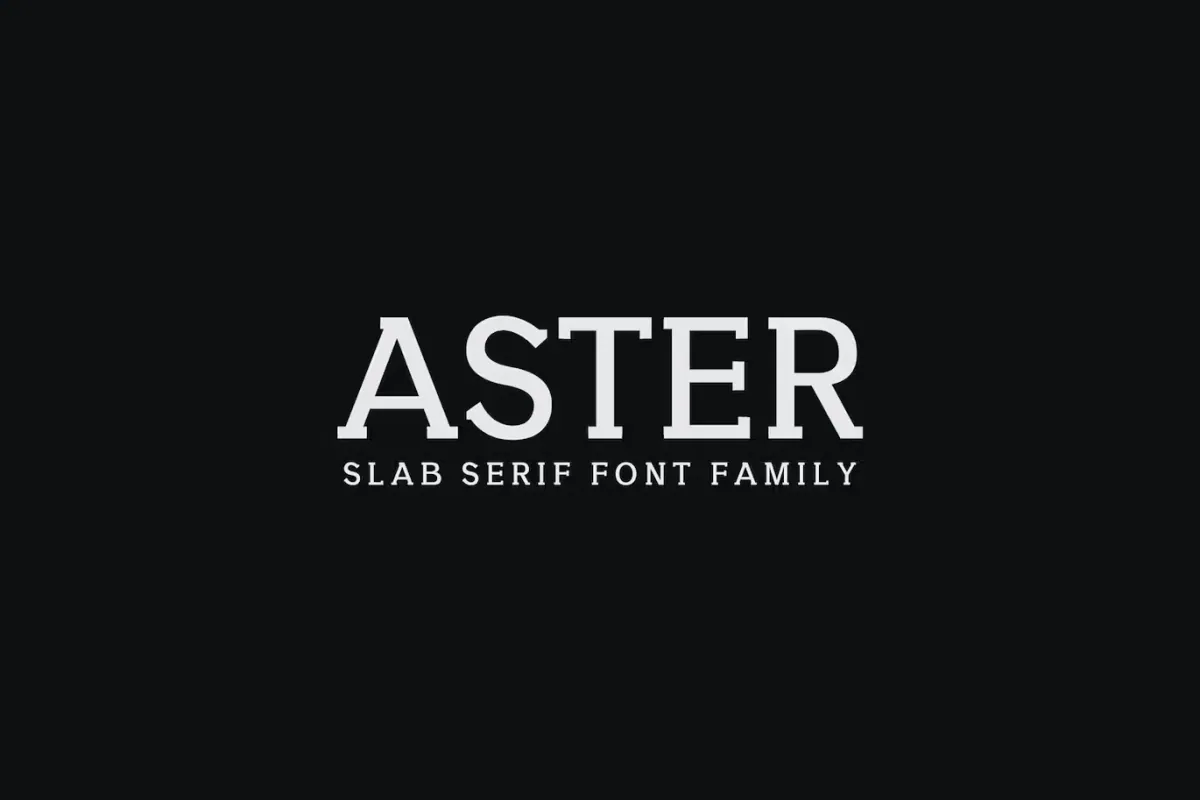 Aster Slab Serif Font Family