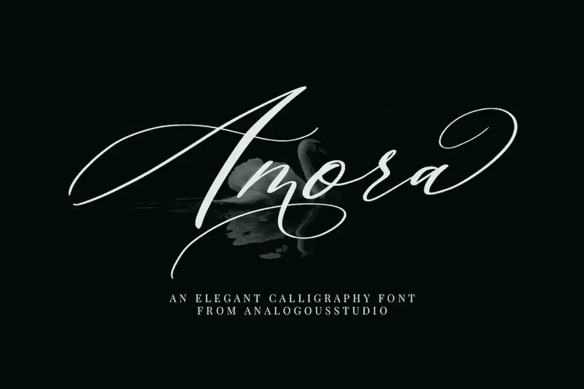 Amora Calligraphy Font