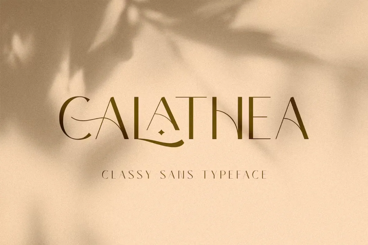 Elegant Sans Serif Font