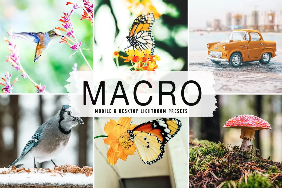 Macro Mobile & Desktop Lightroom Presets