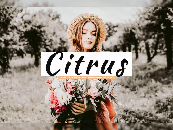 Citrus Lightroom Preset For Mobile & Desktop Cover