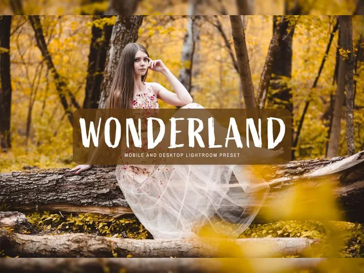 Wonderland Lightroom Preset For Desktop Download Cover