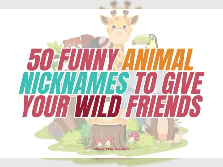 50 Funny Animal Nicknames to Give Your Wild Friends