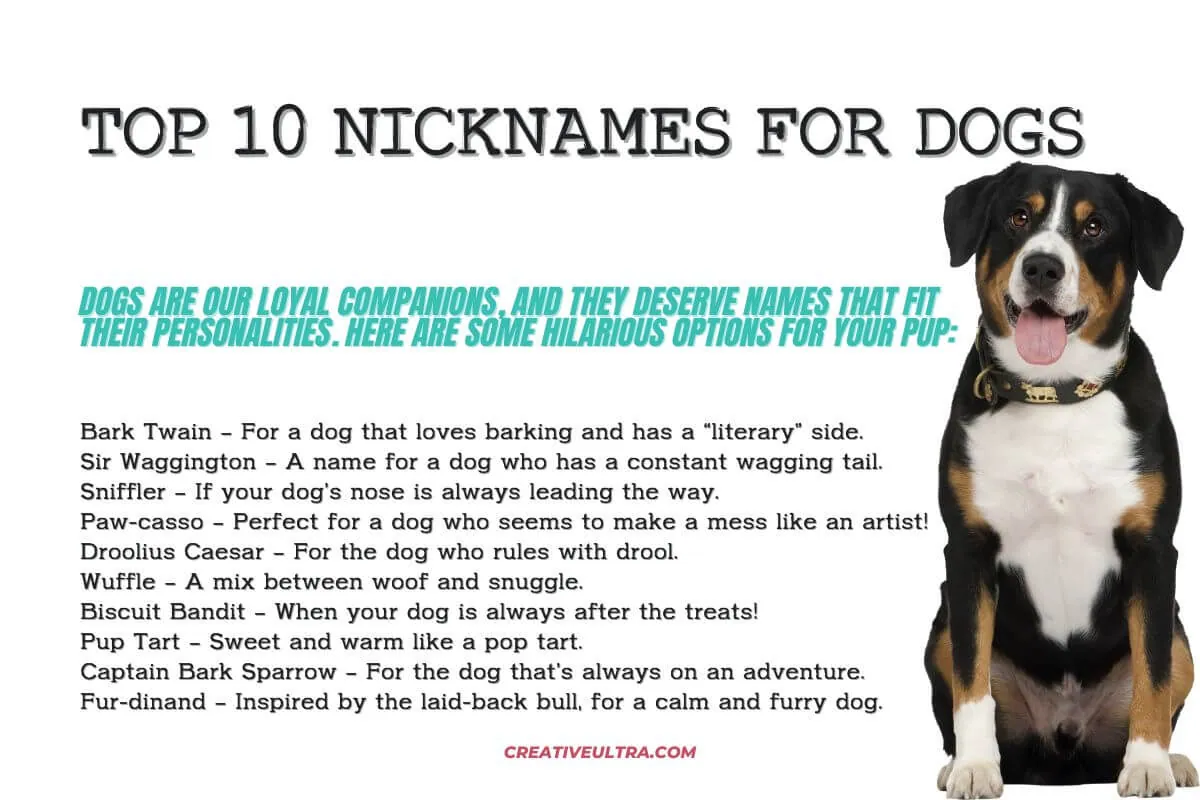 Top 10 Nicknames for Dogs