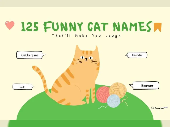A cartoon image of an orange striped cat sitting near balls of yarn with speech bubbles showing funny cat names like "Snickerpaws," "Cheddar," "Frodo," and "Boomer." The title "125 Funny Cat Names That'll Make You Laugh" appears at the top.