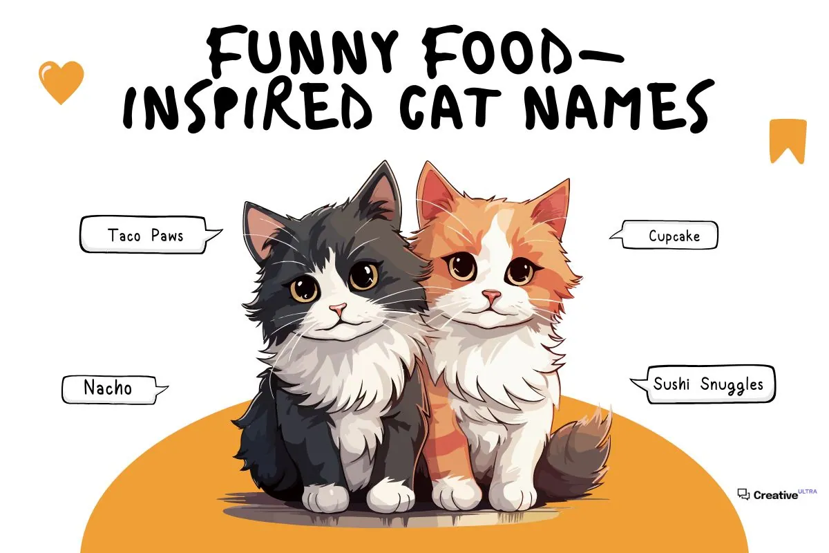 Two cartoon cats (one black-and-white and one orange) sitting together with speech bubbles showing food-inspired names like "Taco Paws," "Nacho," "Cupcake," and "Sushi Snuggles." The title "Funny Food-Inspired Cat Names" is written above.