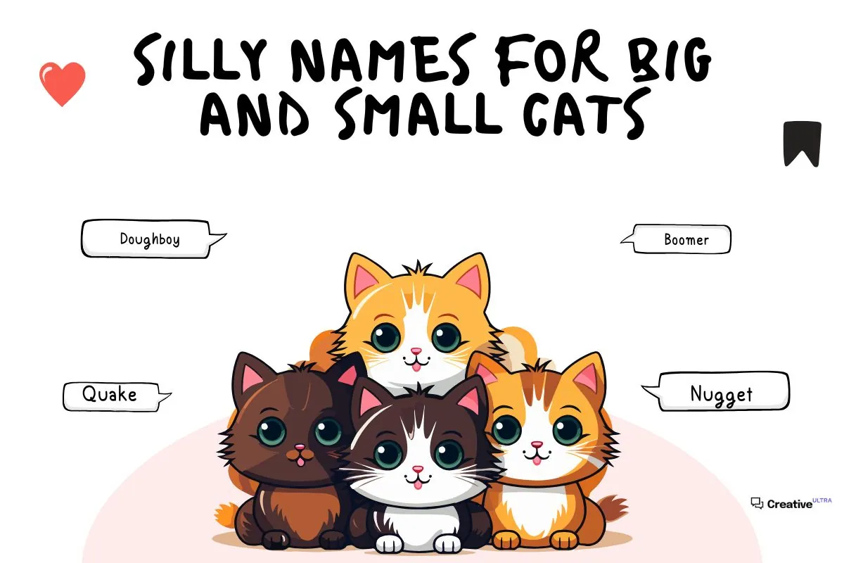 A group of four cartoon kittens (two orange, one black, and one brown) with speech bubbles showing names like "Doughboy," "Boomer," "Quake," and "Nugget." The title "Silly Names for Big and Small Cats" is written at the top.