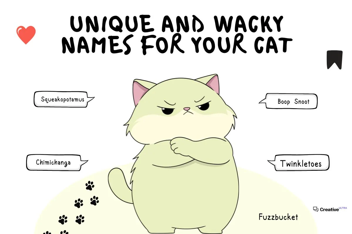 A grumpy-looking light green cat standing with crossed arms. Speech bubbles show names like "Squeakopotamus," "Boop Snoot," "Chimichanga," "Twinkletoes," and "Fuzzbucket." The title "Unique and Wacky Names for Your Cat" appears at the top.