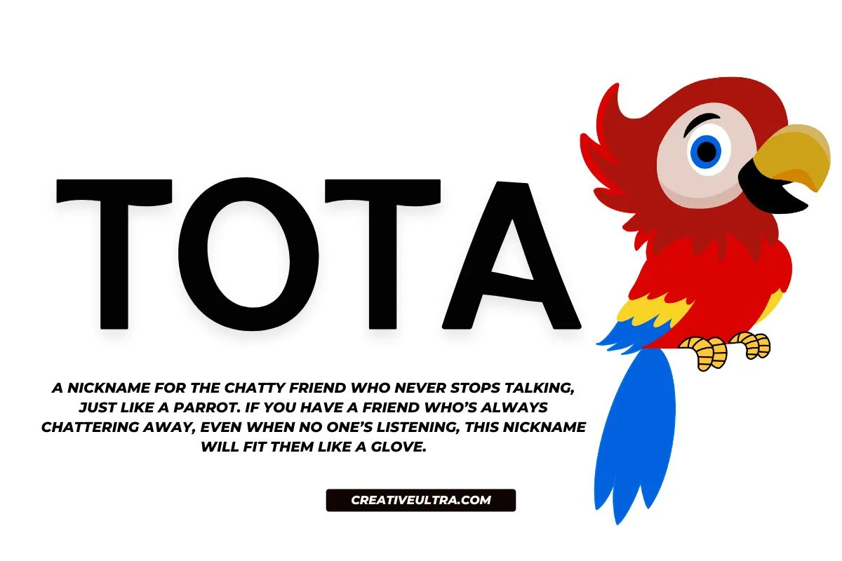 Tota is a chatter indian funny nickname for those people who can't digest the talk