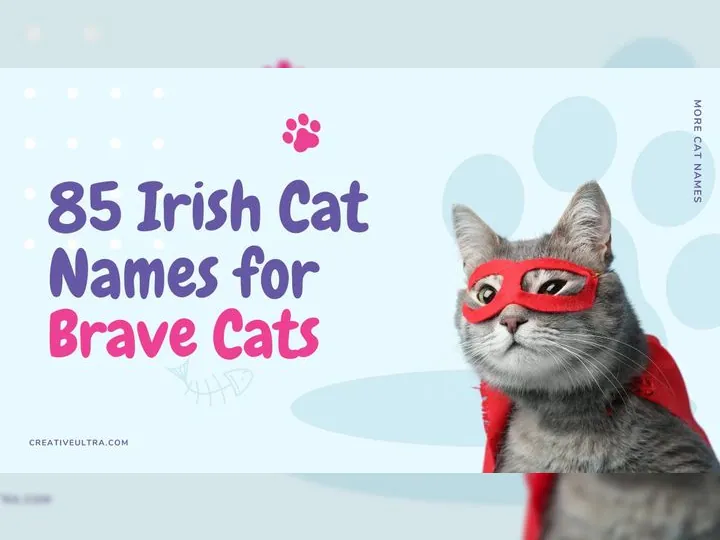Cover image displaying '85 Irish Cat Names for Brave Cats' with an illustration of a brave cat inspired by Irish heritage.