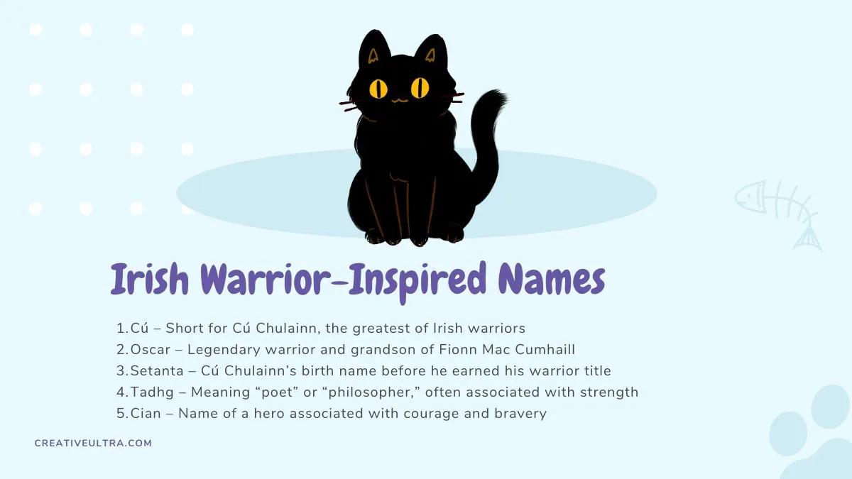 Illustration of cat names inspired by legendary Irish warriors, evoking courage and strength.