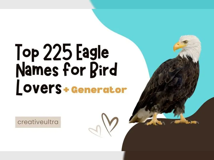 Top 225 Eagle Names for Bird Lovers