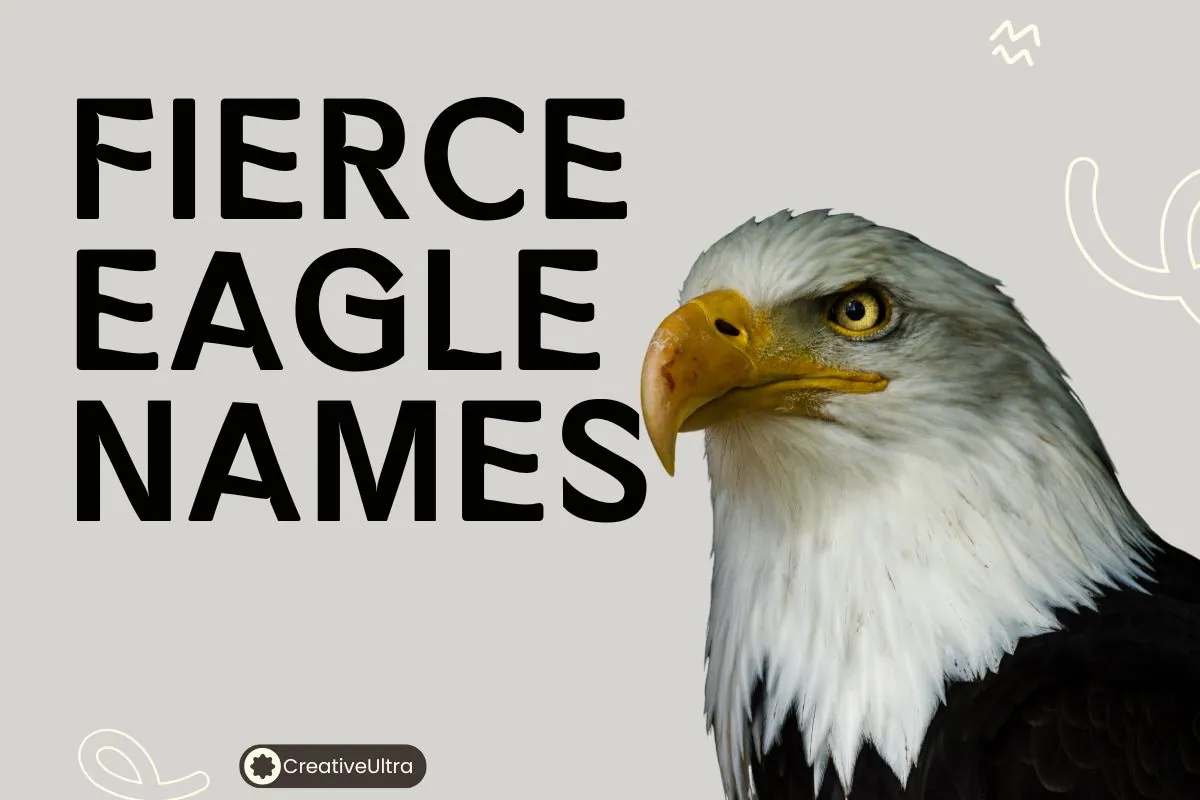 Fierce Eagle Names