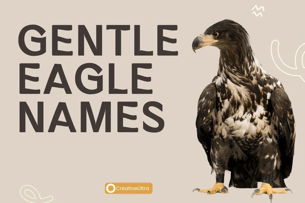 Gentle Eagle Names