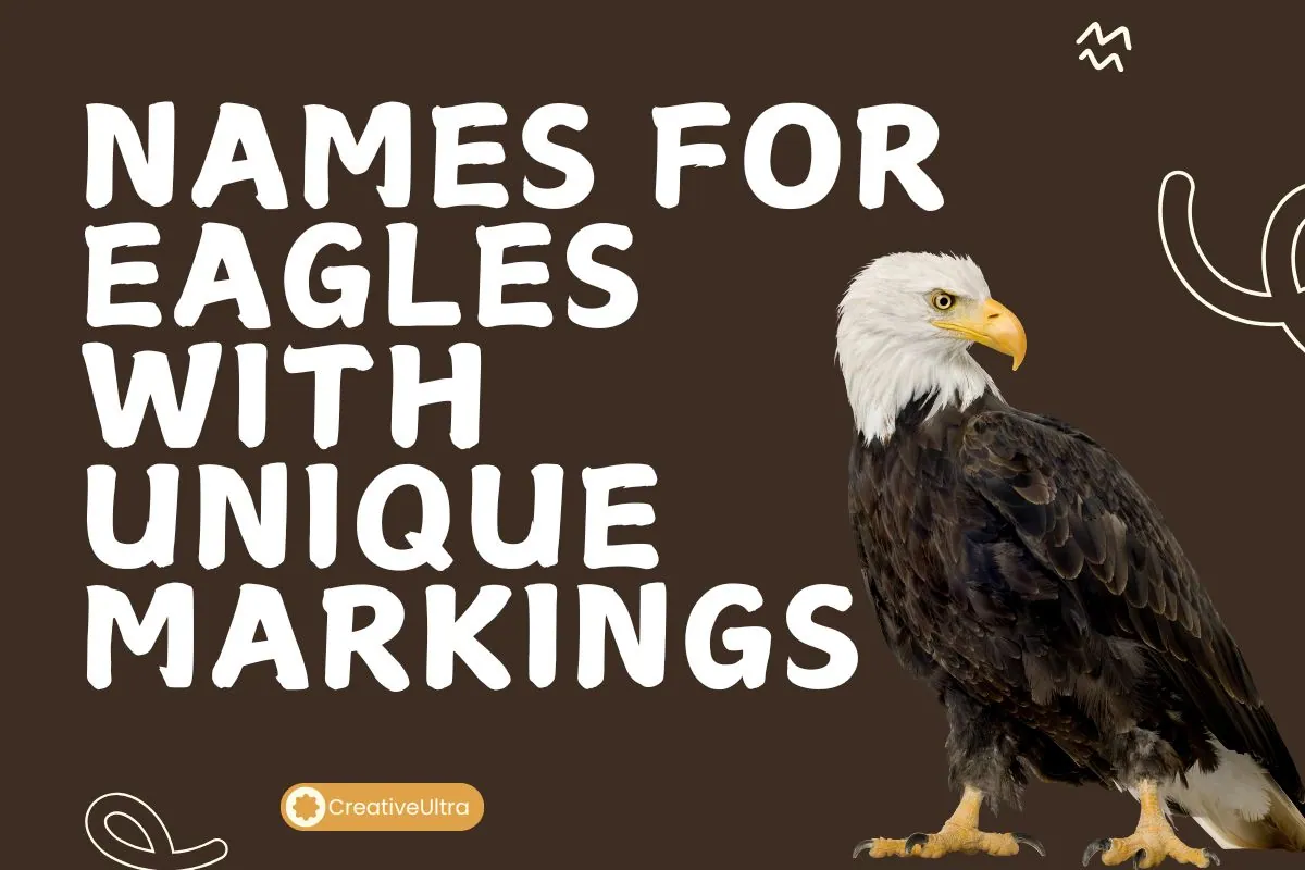 Names for Eagles with Unique Markings