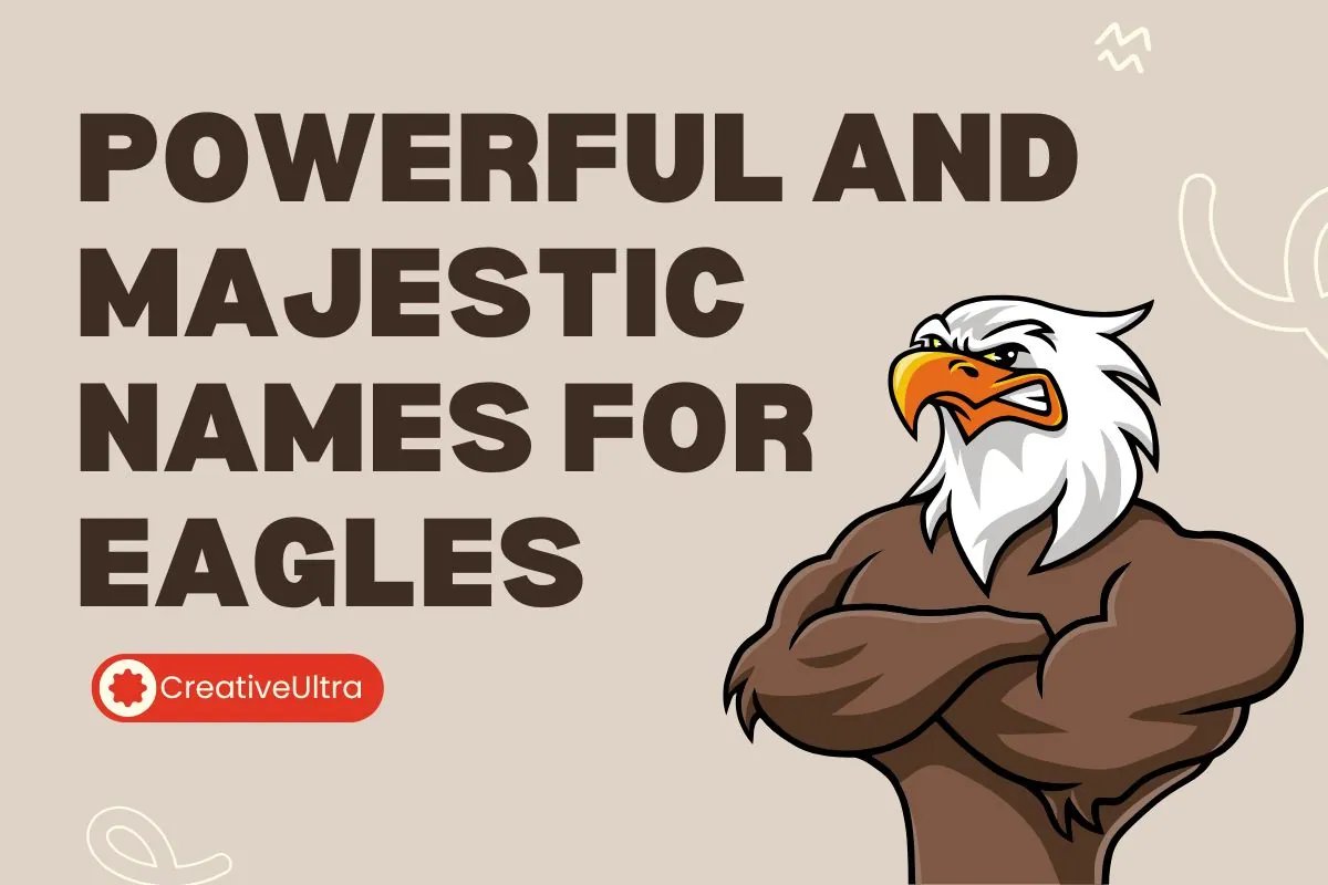 Powerful and Majestic Names for Eagles