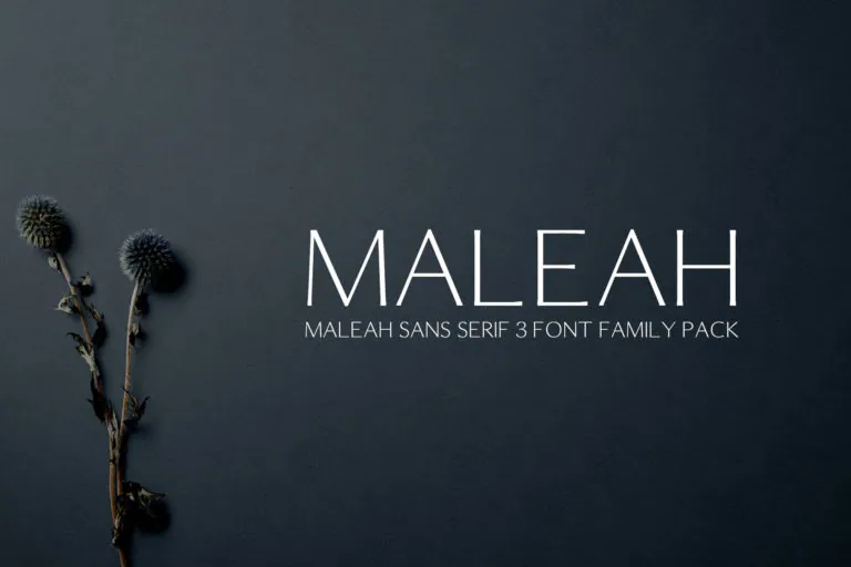 Maleah Sans Serif 4 Font Family Pack
