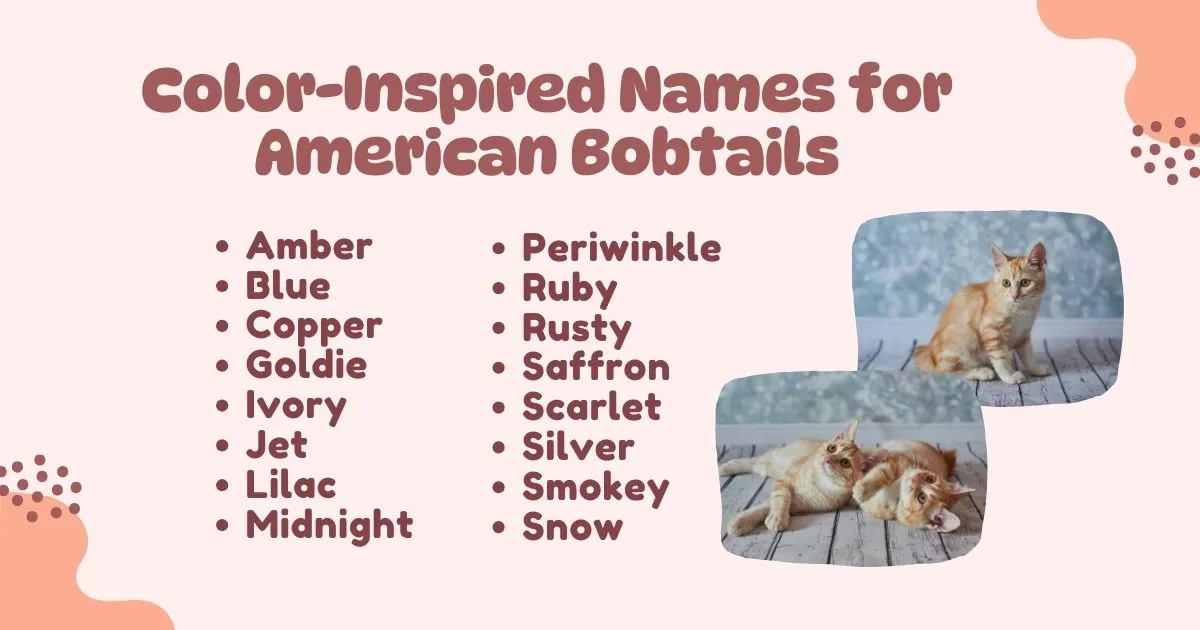 "List of color-inspired names for American Bobtails, paired with images of ginger cats. Names include Amber, Blue, Copper, and more. The tone is playful."
