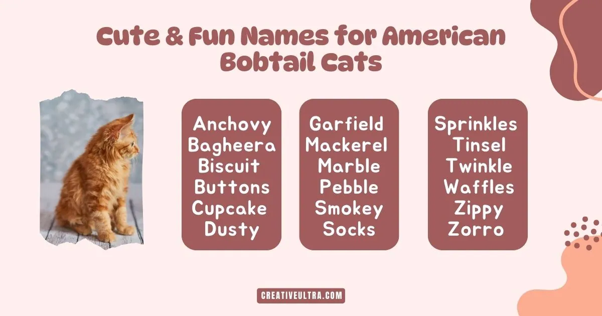 Orange tabby cat sits on the left, with a list of cute American bobtail cat names on the right, including Anchovy, Garfield, and Twinkle.