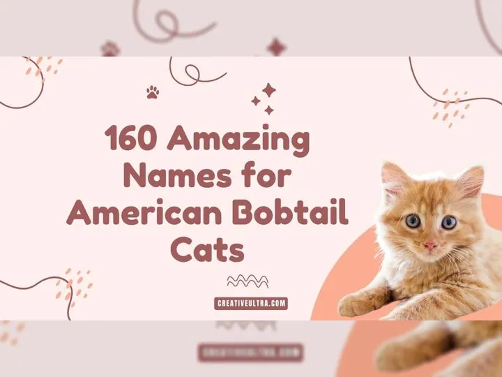 "Graphic with the title '160 Amazing Names for American Bobtail Cats' in bold font. A cute ginger kitten with big eyes is on the right, set against a light pink background with playful lines and paw prints. The tone is cheerful and inviting."