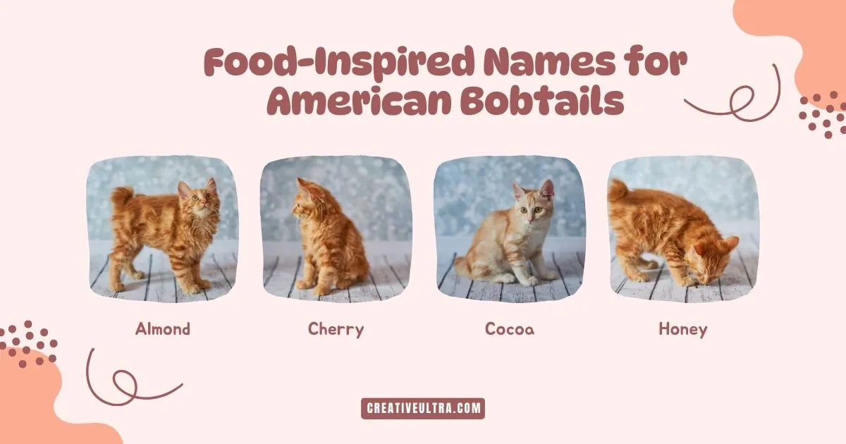 Four images of ginger American Bobtail cats on wooden floors labeled Almond, Cherry, Cocoa, and Honey, with header "Food-Inspired Names for American Bobtails."