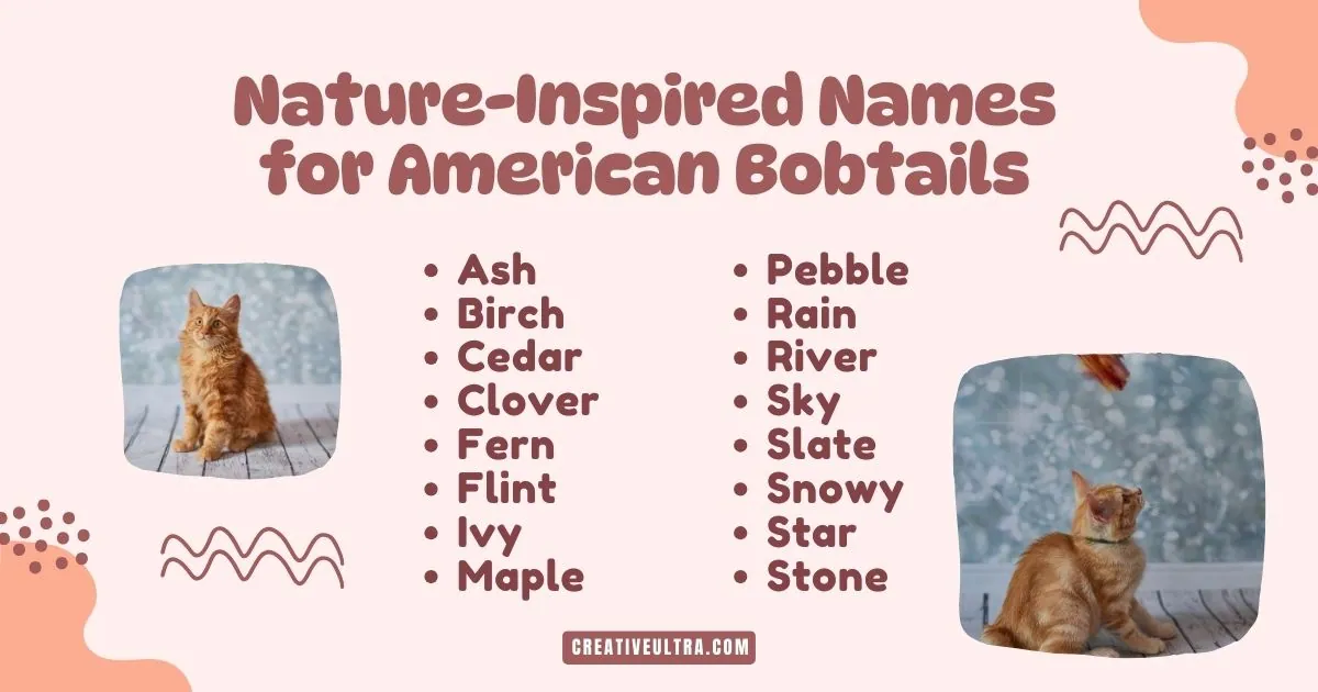Nature-inspired names for American Bobtails listed on a pink background. Two orange tabby cats are featured, one sitting, one looking up. Playful vibe.