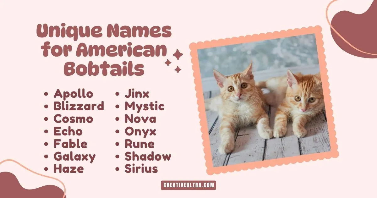 Image of two orange tabby kittens lying on a wooden floor. Text reads "Unique Names for American Bobtails" with a list of names like Apollo, Nova, and Shadow. The tone is playful and cute.