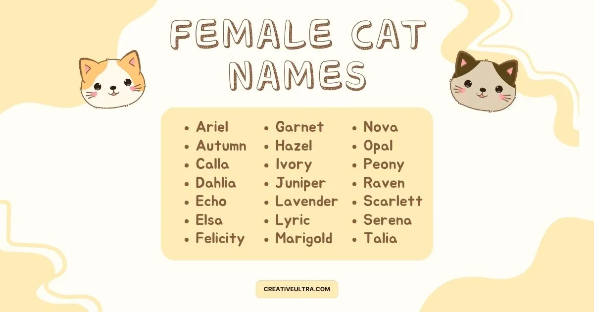 Cute illustration of two cat faces framing a list of female cat names, including Ariel, Lavender, and Nova. The design has a playful and cheerful tone.