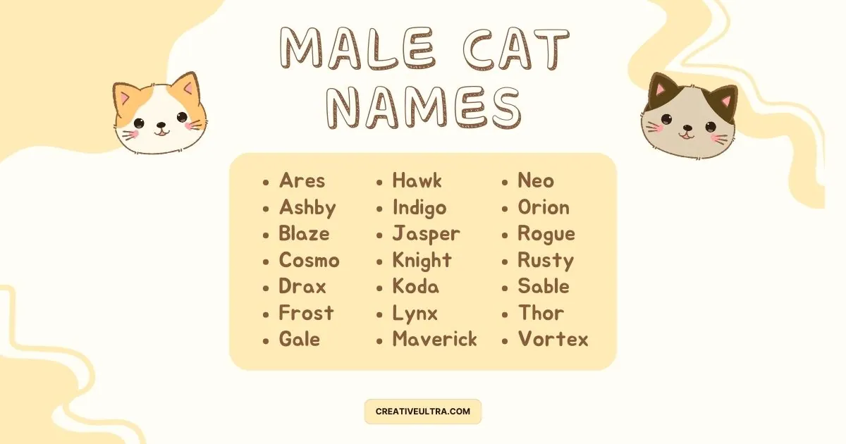 "Illustration of male cat names listed with playful cat faces in corners. Names include Ares, Jasper, Neo, and more. Light, cheerful tone."