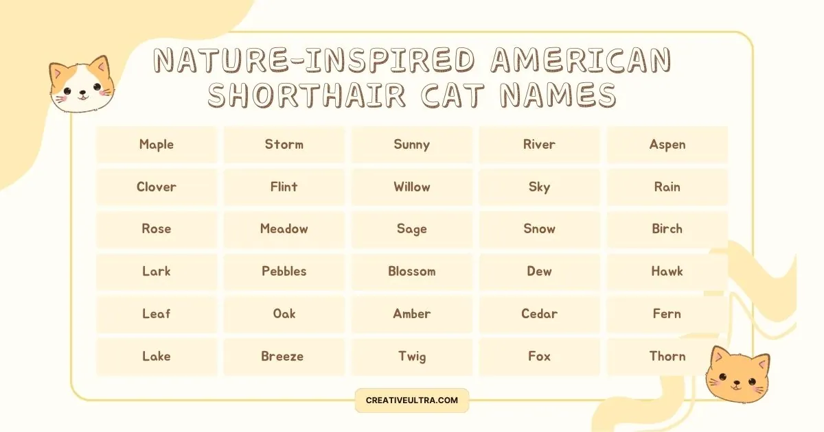 Chart of nature-inspired names for American Shorthair cats. Names include Maple, Storm, Sunny, River, Aspen, Clover, and more. Cute cat illustrations.