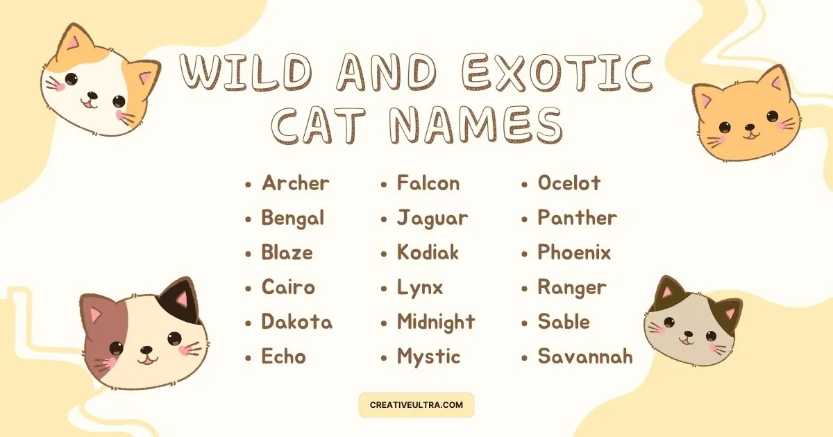Illustration of "Wild and Exotic Cat Names" with cute cat faces in corners. Names like Bengal, Jaguar, and Ocelot are listed playfully.