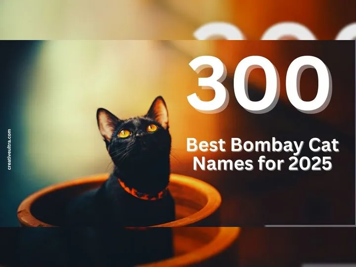 300+ Best Bombay Cat Names for 2025