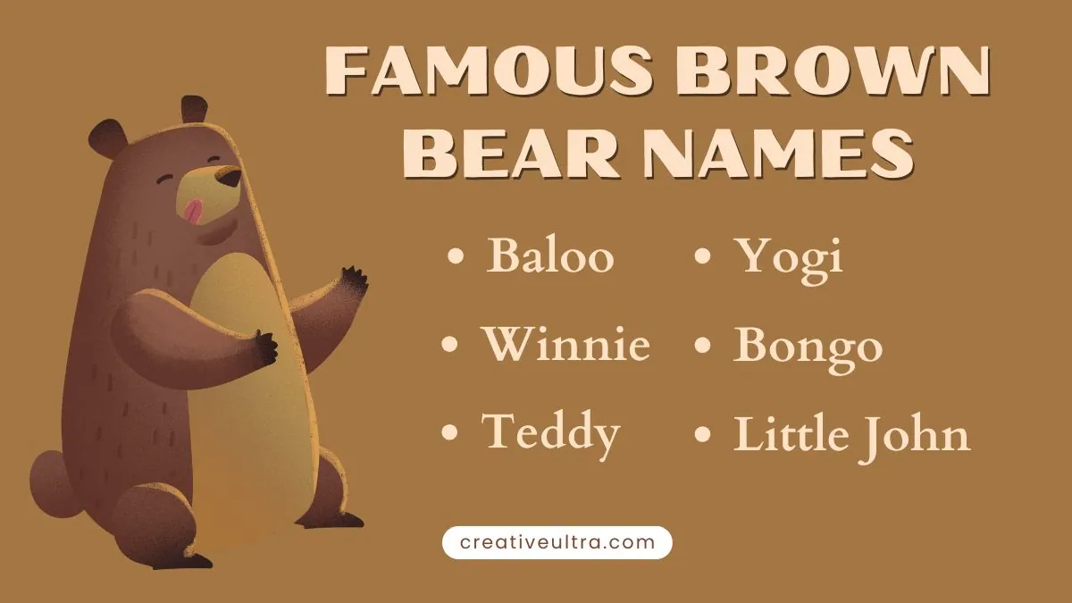 Illustration of a smiling brown bear on a brown background with text listing famous bear names: Baloo, Winnie, Teddy, Yogi, Bongo, Little John.