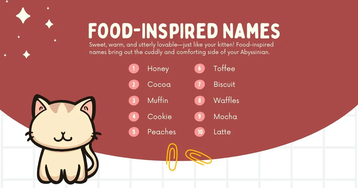 Illustration of a cute kitten with a list of food-inspired names like Honey and Cocoa on a red background. The tone is playful and warm.