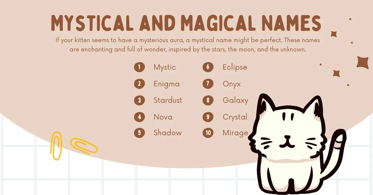 Illustration titled "Mystical and Magical Names" lists kitten names like Mystic and Enigma. A cute cartoon cat sits below, conveying a whimsical tone.