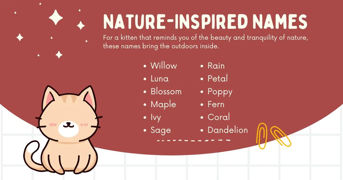 Cute cartoon kitten with closed eyes sitting on a white grid against a red background. Text reads "Nature-Inspired Names" with a list of names like Willow and Luna.