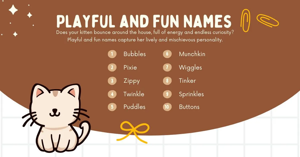 Illustration of a cute cat with a list of playful kitten names on a brown background. Names include Bubbles, Pixie, Zippy, and others. Joyful tone.