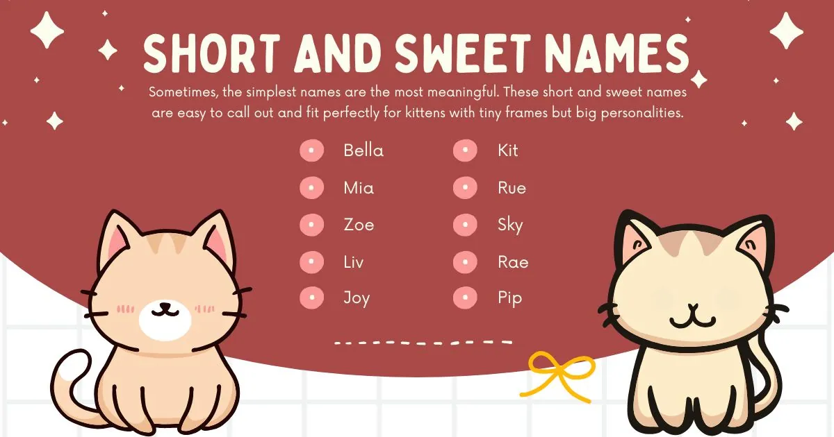 Cute kitten illustration with a red backdrop and stars. List of short kitten names: Bella, Mia, Zoe, Liv, Joy, Kit, Rue, Sky, Rae, Pip. Playful tone.