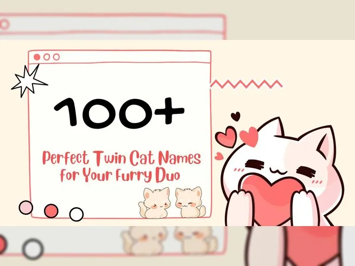 100+ Perfect Twin Cat Names for Your Furry Duo