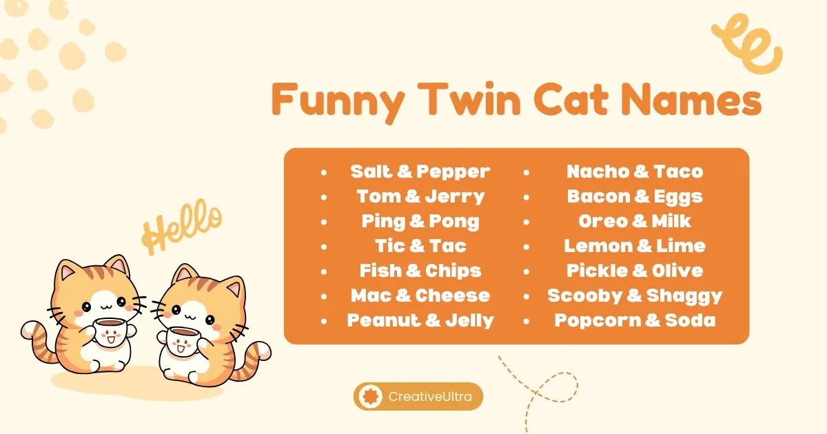 Cute illustration of two smiling cats holding mugs, labeled "Hello." Beside them, a list of "Funny Twin Cat Names" includes Salt & Pepper and more. Playful tone.