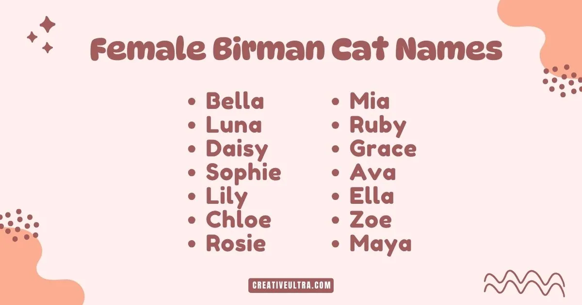 List of female Birman cat names in two columns on a pale pink background with abstract orange shapes: Bella, Luna, Daisy, Mia, Ruby, Grace, and more.
