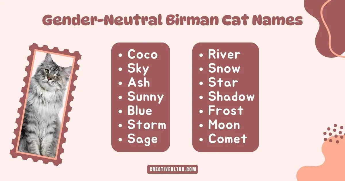 "Image shows a fluffy gray cat in a stamp-like frame next to a list of gender-neutral Birman cat names. Names include Coco, Sky, Ash, Sunny, Blue, Storm, Sage, River, Snow, Star, Shadow, Frost, Moon, and Comet. The background is soft pink with abstract shapes, conveying a playful and warm tone."