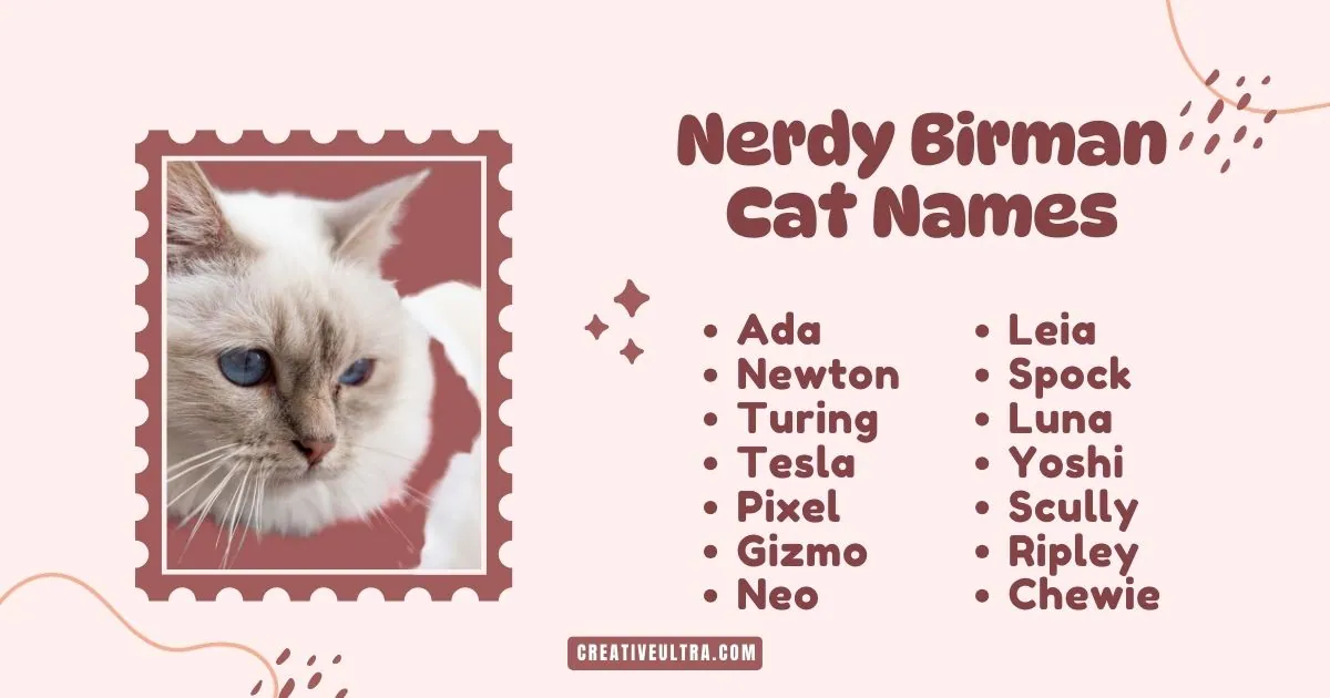 Close-up of a blue-eyed Birman cat with white fur framed like a stamp. Text reads "Nerdy Birman Cat Names" with names like Ada, Newton, and Leia.