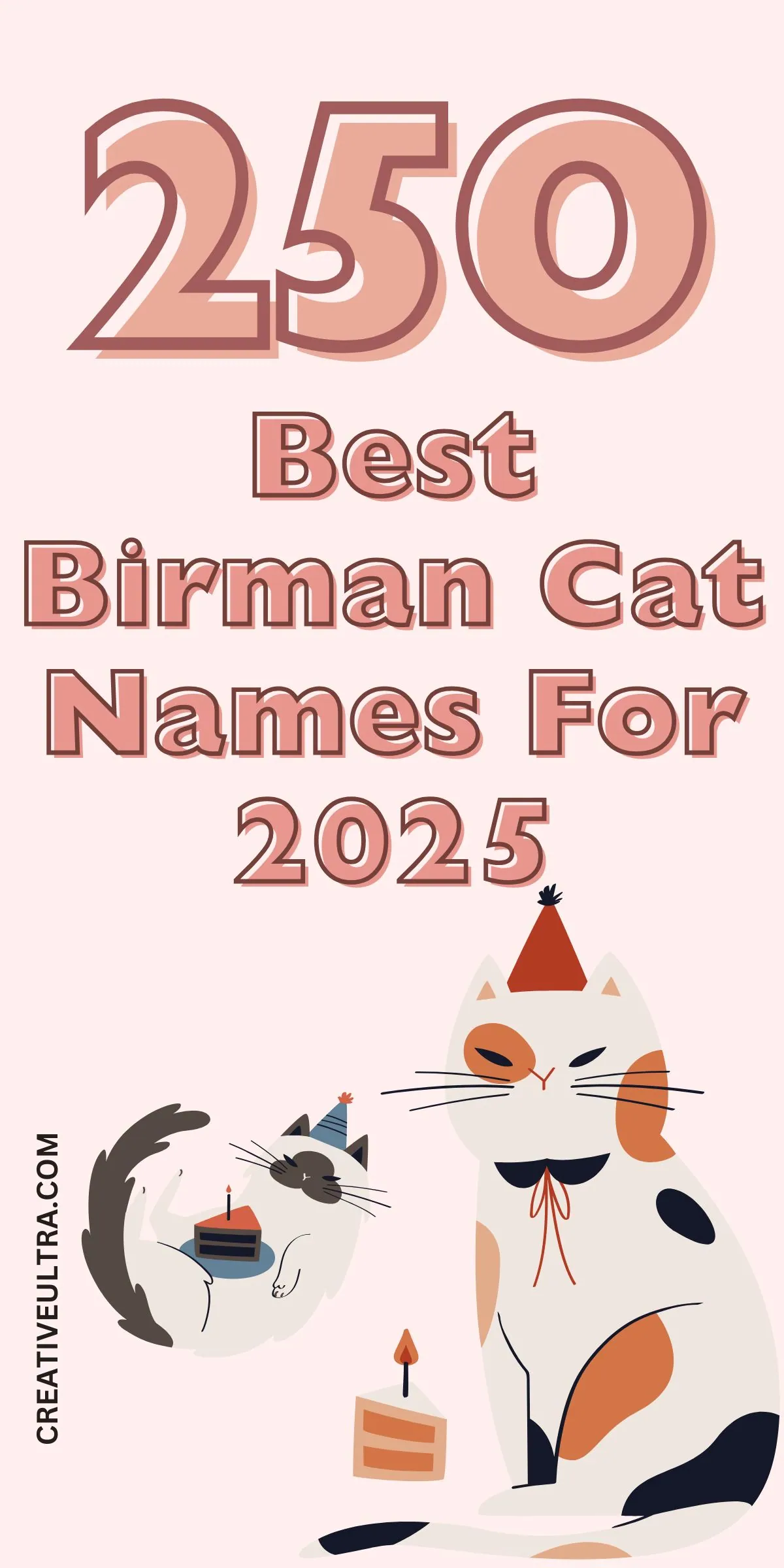Illustrated poster with "250 Best Birman Cat Names For 2025." Features two playful cats with party hats and cake, evoking a festive and whimsical feel.