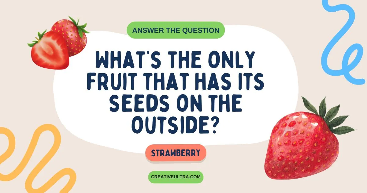 Image featuring a trivia question, “What's the only fruit that has its seeds on the outside?” Surrounded by illustrations of strawberries. Answer: "Strawberry." Playful design with colorful swirls.