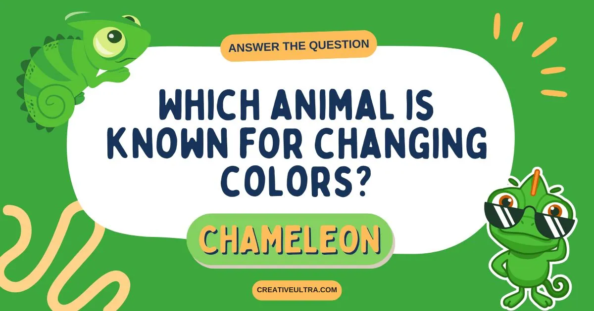 Green cartoon chameleons frame a question, "Which animal is known for changing colors?" The answer, "Chameleon," is highlighted below. Playful and fun tone.