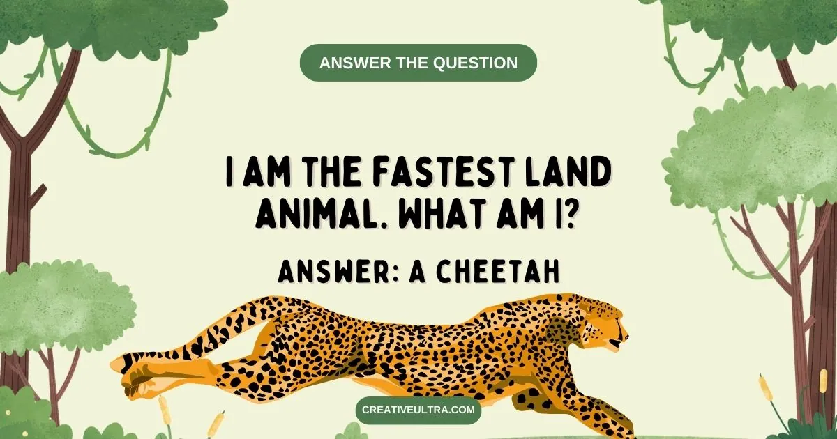 I am the fastest land animal. What am I? 
Answer: A cheetah